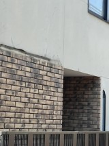 IMG_3937-e1735027433722